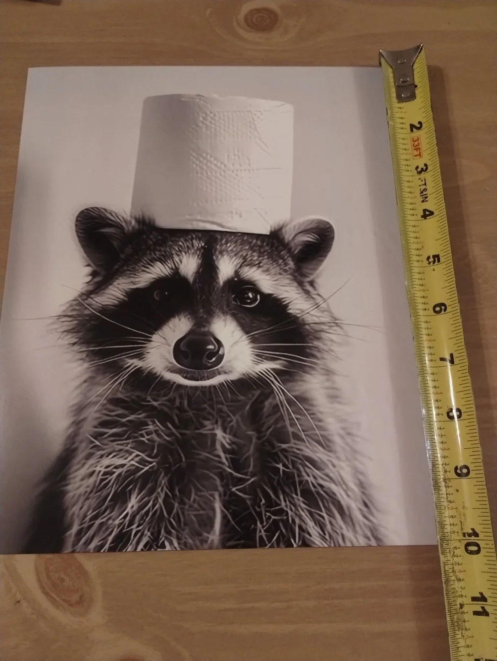 Funny Raccoon Bathroom Wall Art Toilet Paper Hat Animal Humor Print 8x10
